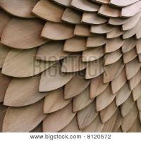 Cedar shingle siding image 1